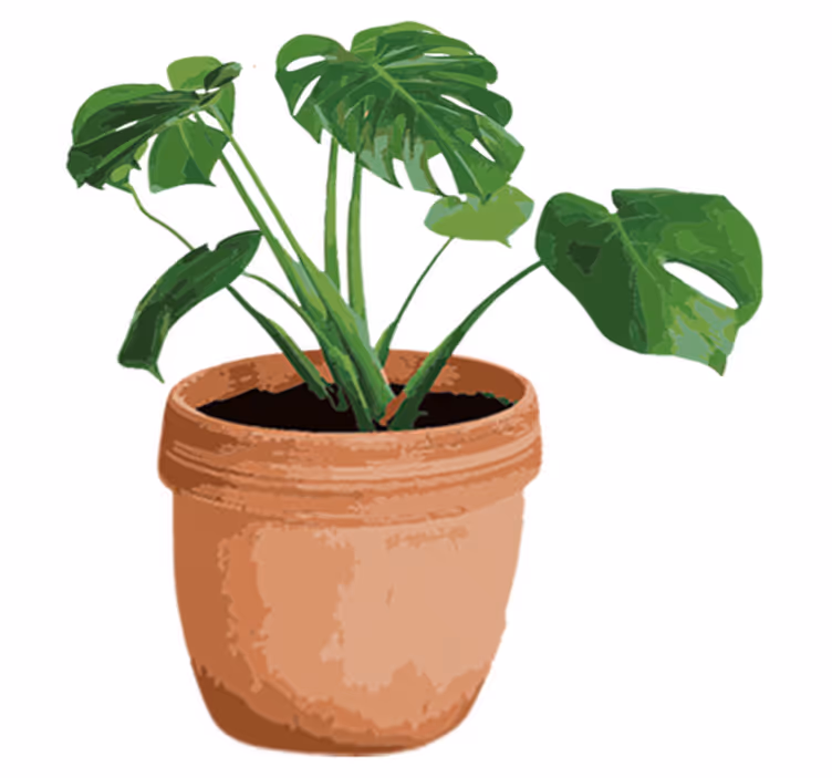 Floral vinyl carpet simple monstera pot - TenStickers