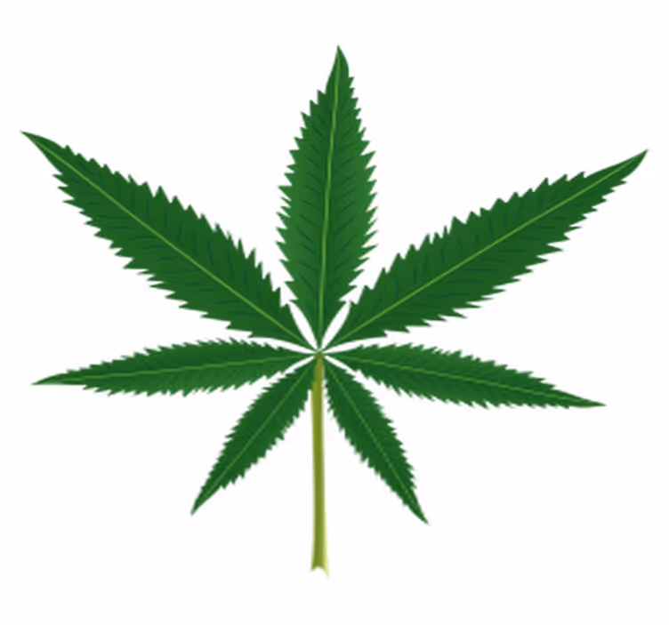 Floral vinyl carpet with marijuana leaf design - TenStickers