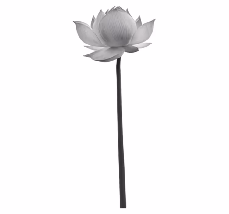 Bedroom vinyl carpet lotus solitary flower - TenStickers