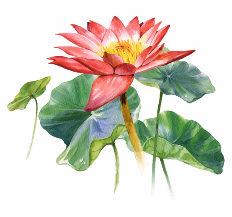 Bedroom vinyl carpet lotus watercolor illusion - TenStickers