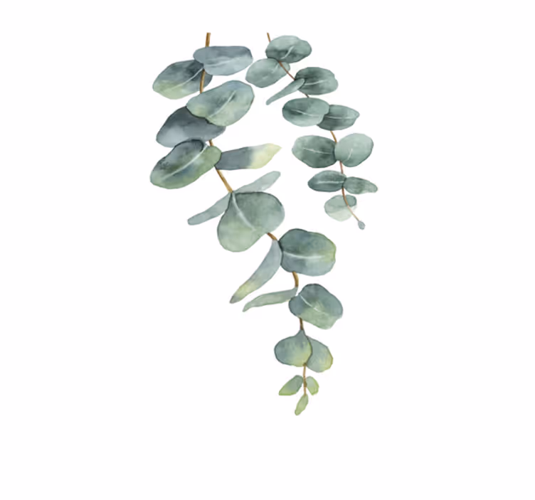 Floral vinyl carpet eucalyptus twigs - TenStickers