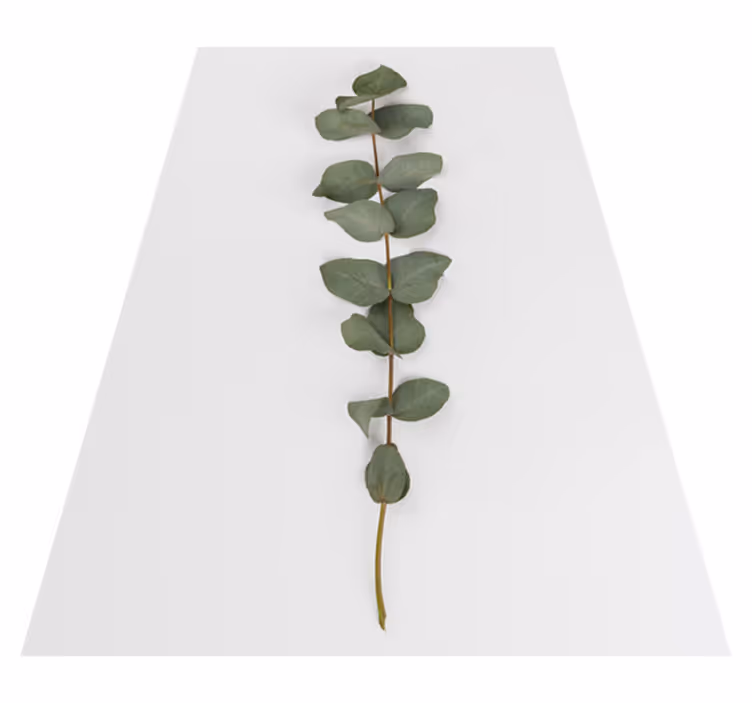 Floral vinyl carpet eucalyptus leaves design - TenStickers