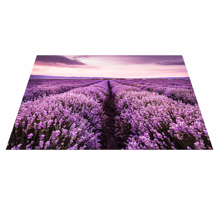 Purple vinyl carpet lavender flowers in provence - TenStickers