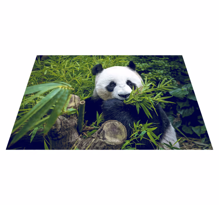Cute panda green vinyl carpet - TenStickers