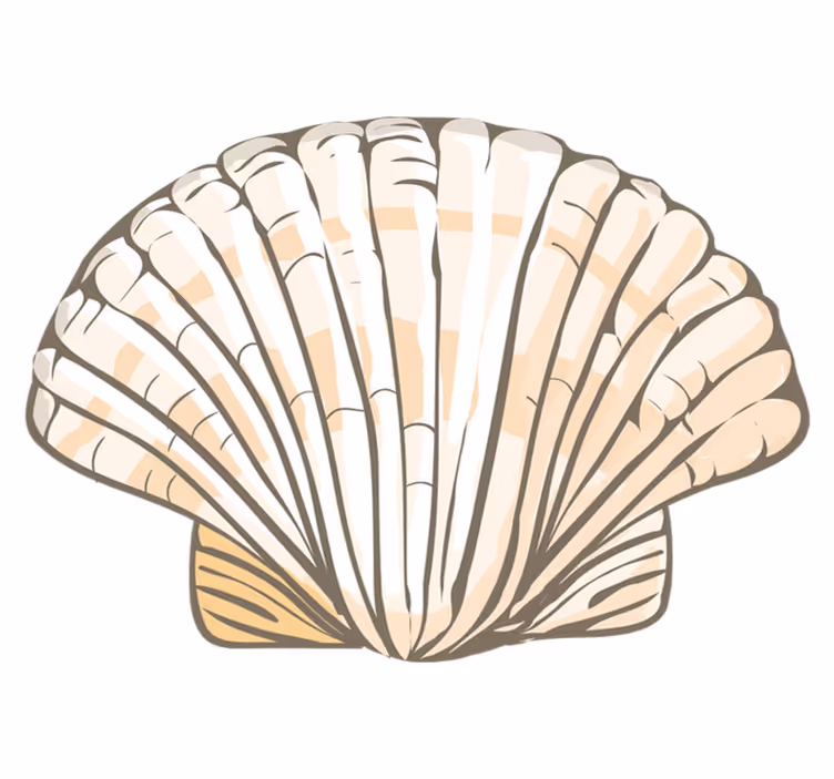 Seashell Illustration animal vinyl carpet - TenStickers