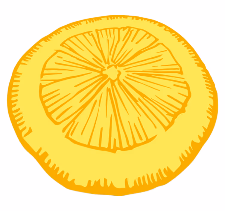 Yellow citrus slice kitchen vinyl carpet - TenStickers