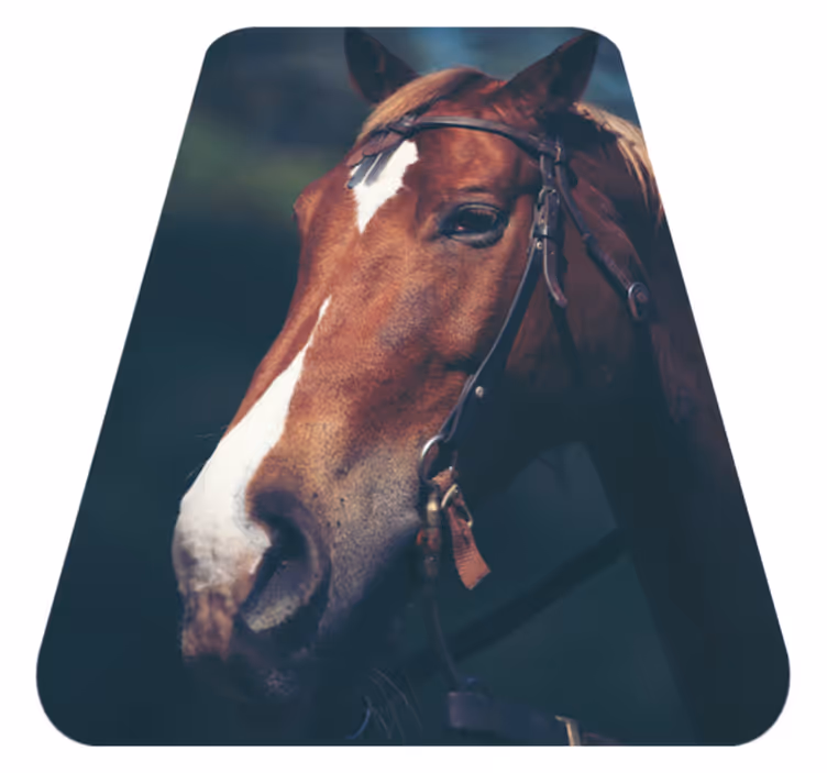 Majestic horse head animal vinyl carpet - TenStickers