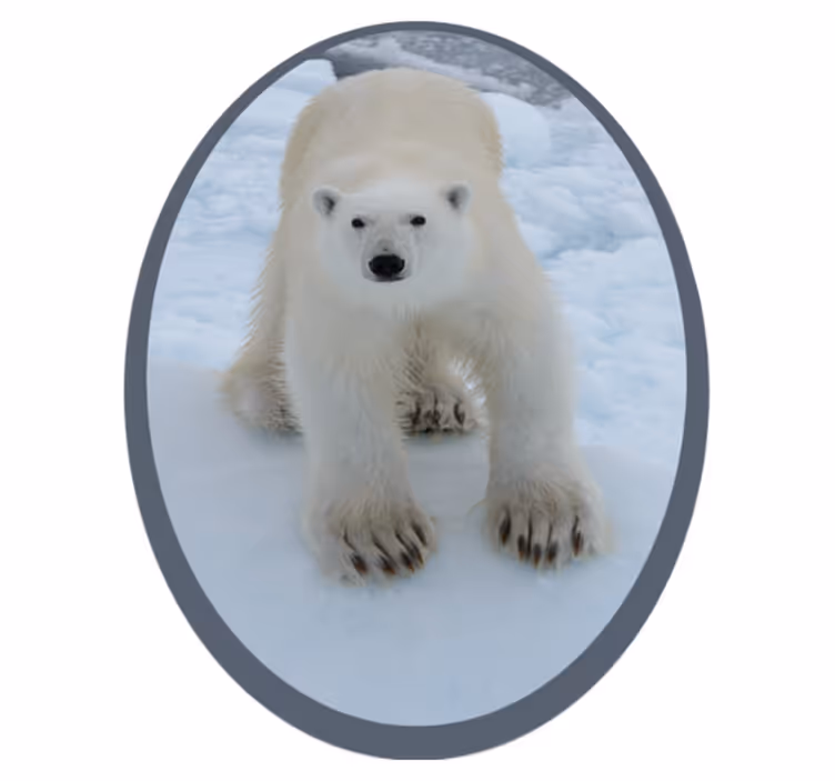 Polar bear image animal vinyl carpet - TenStickers
