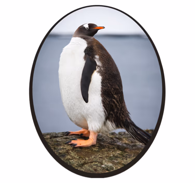 Penguin Stance animal vinyl carpet - TenStickers