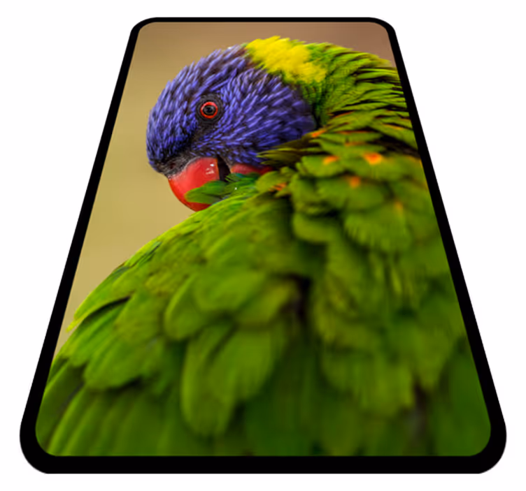 Colorful parrot portrait animal vinyl carpet - TenStickers