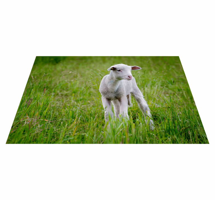 Baby lamb standing animal vinyl carpet - TenStickers
