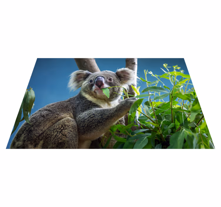 Koala in the nature animal vinyl carpet - TenStickers