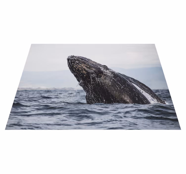 Majestic Whale Leap nature vinyl carpet - TenStickers