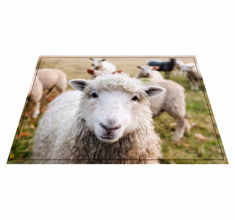 Curly shep face animal vinyl carpet - TenStickers