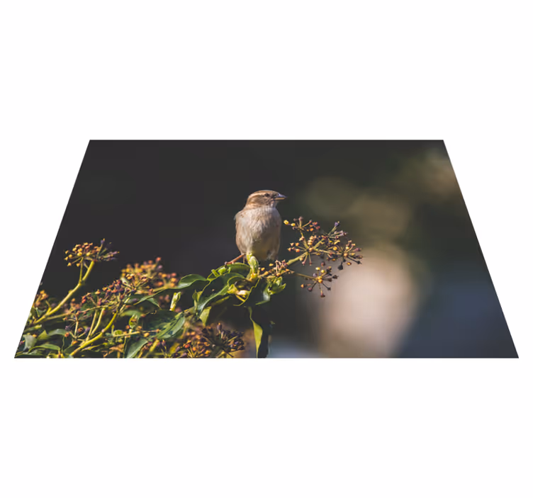Charming Bird Perched nature vinyl carpet - TenStickers