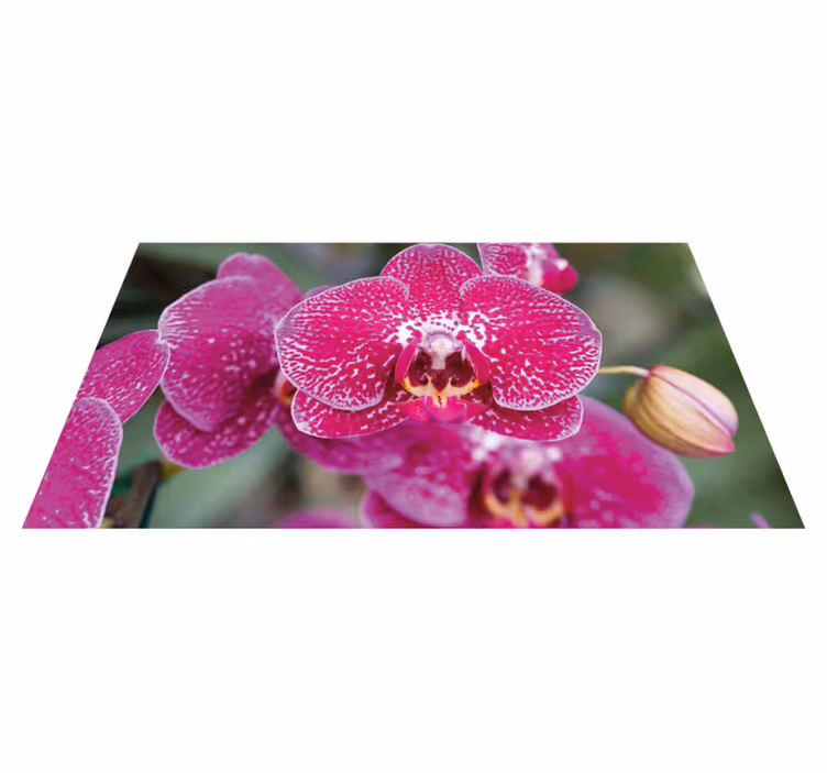 Vibrant Orchid Blooms floral vinyl carpet - TenStickers