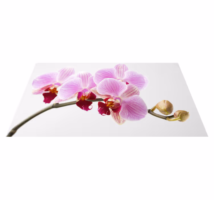 Pink orchid design floral vinyl carpet - TenStickers