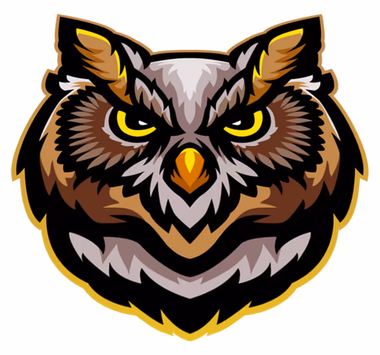 Owl Face Art animal vinyl carpet - TenStickers
