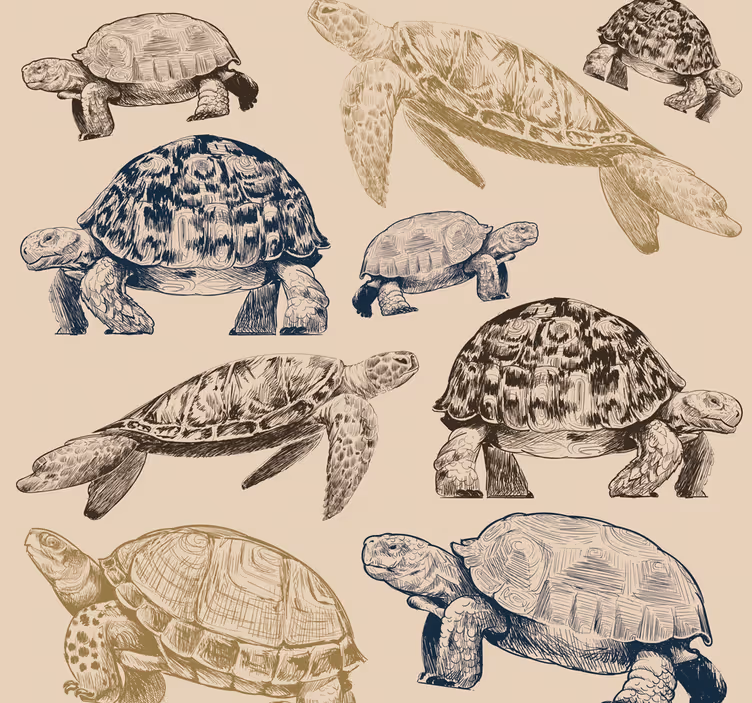 Turtle Collection cute animal wallpaper - TenStickers