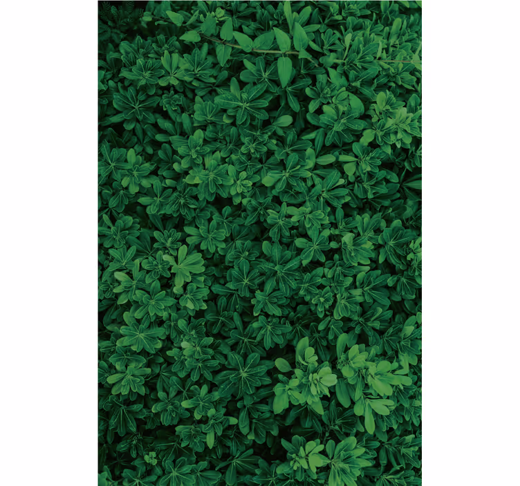 Nature wallpaper deep green landscape - TenStickers