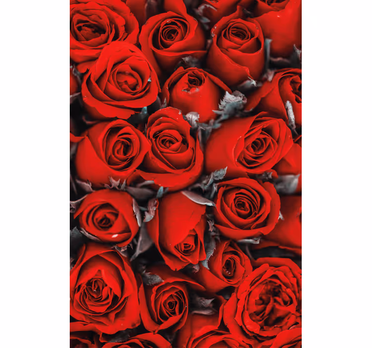 Flowers wallpaper red roses romance - TenStickers