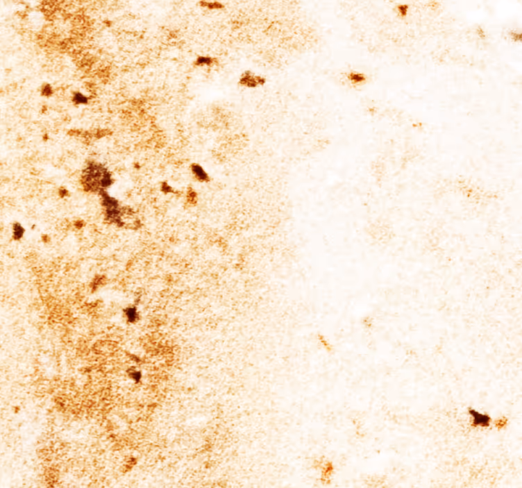 Natural Stone Aesthetics wallpaper marble - TenStickers