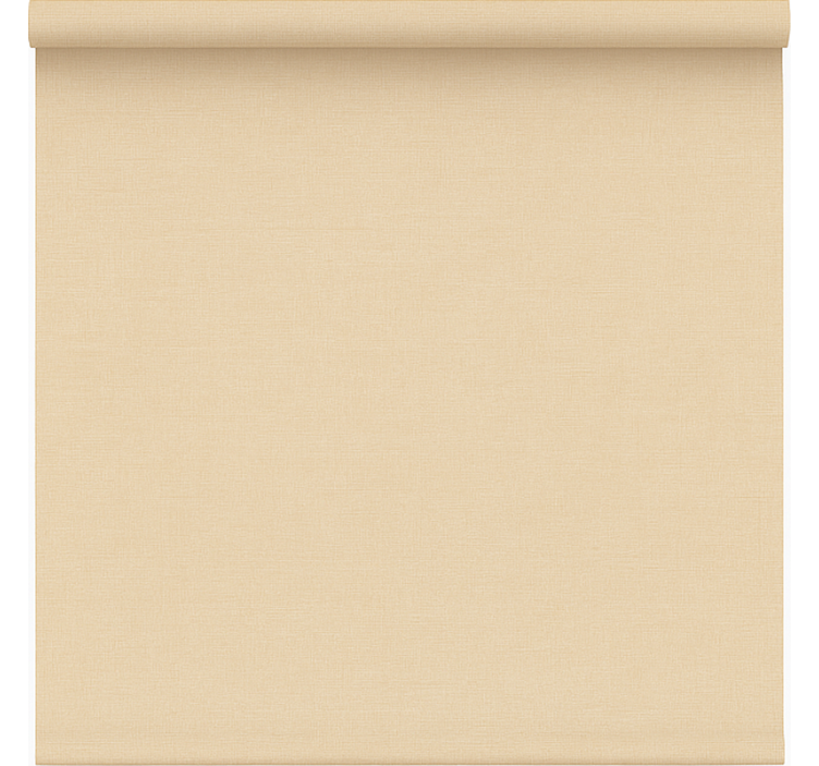 Blind office simple beige sheer - TenStickers