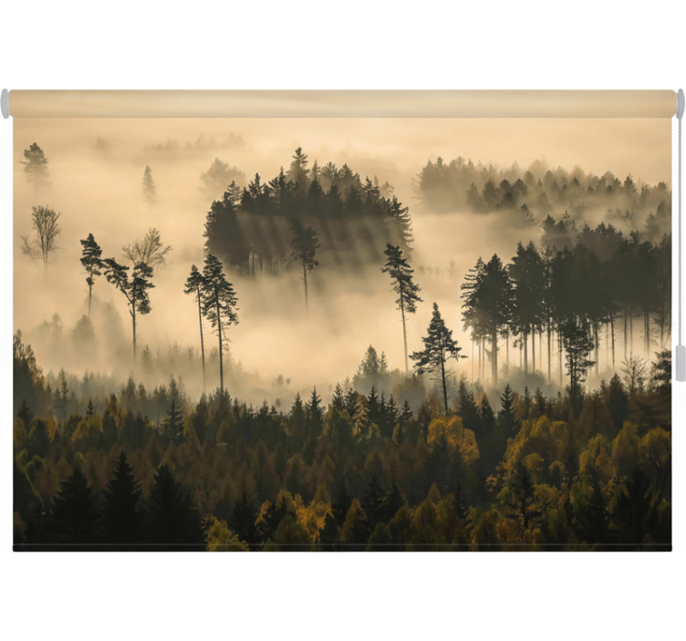 Blind trees in ethereal morning mist - TenStickers