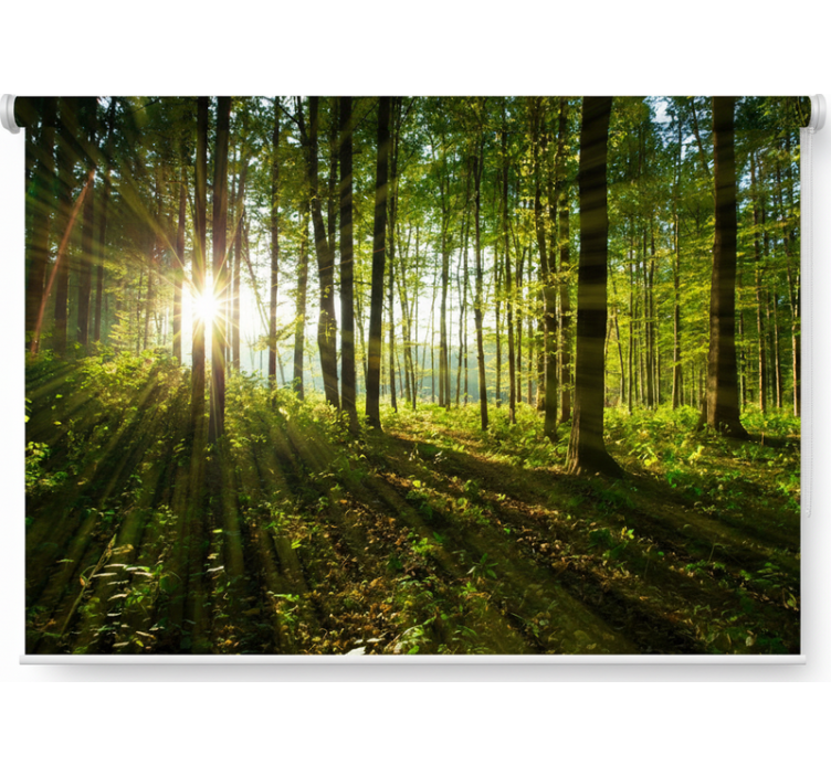 Blind trees of golden sunburst woods - TenStickers