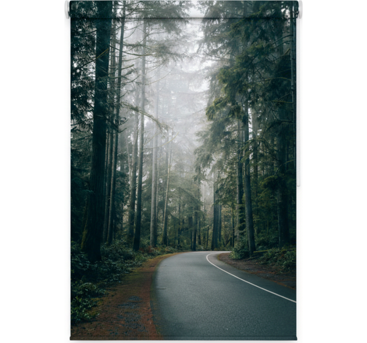 Blind trees on foggy pine road - TenStickers