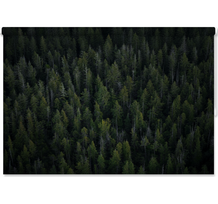 Blind trees deep forest texture - TenStickers