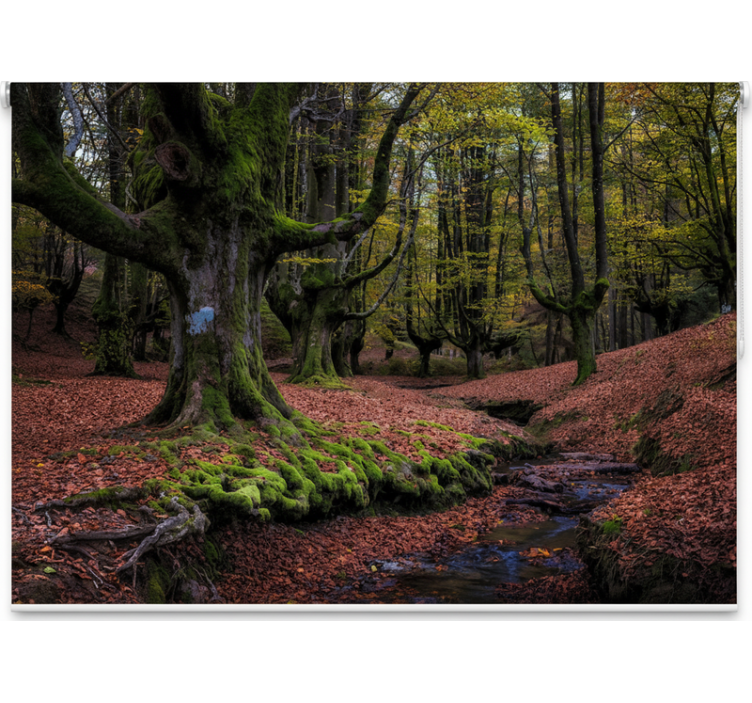 Blind trees enchanted autumn grove - TenStickers