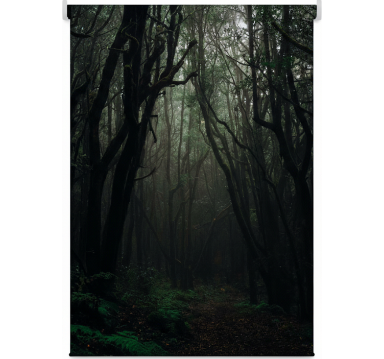 Blind trees in enchanted dark woods - TenStickers