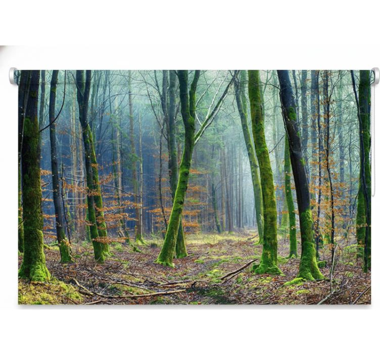 Blind trees foggy forest japandi - TenStickers