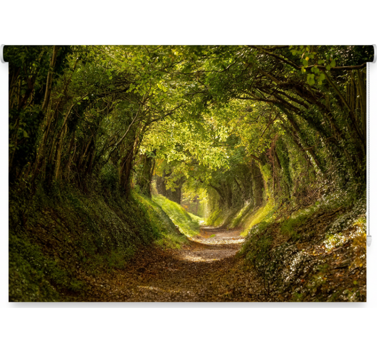 Blind trees immersive forest mural - TenStickers