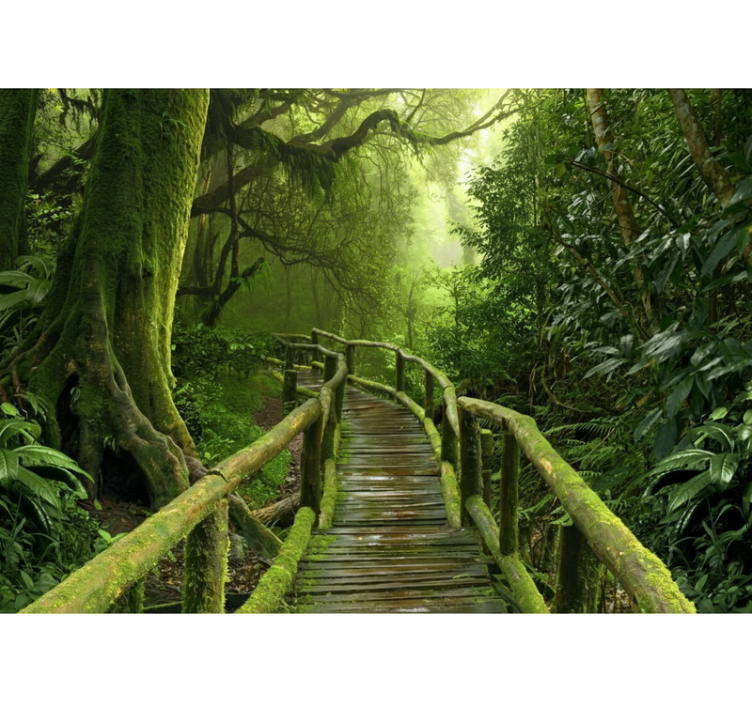 Blind trees lush mossy walkway - TenStickers