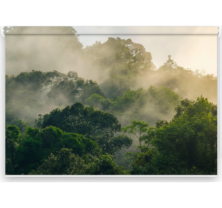 Blind trees lush jungle canopy - TenStickers