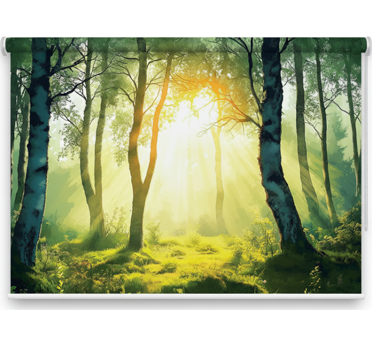 Blind trees sunlit birch wall art - TenStickers