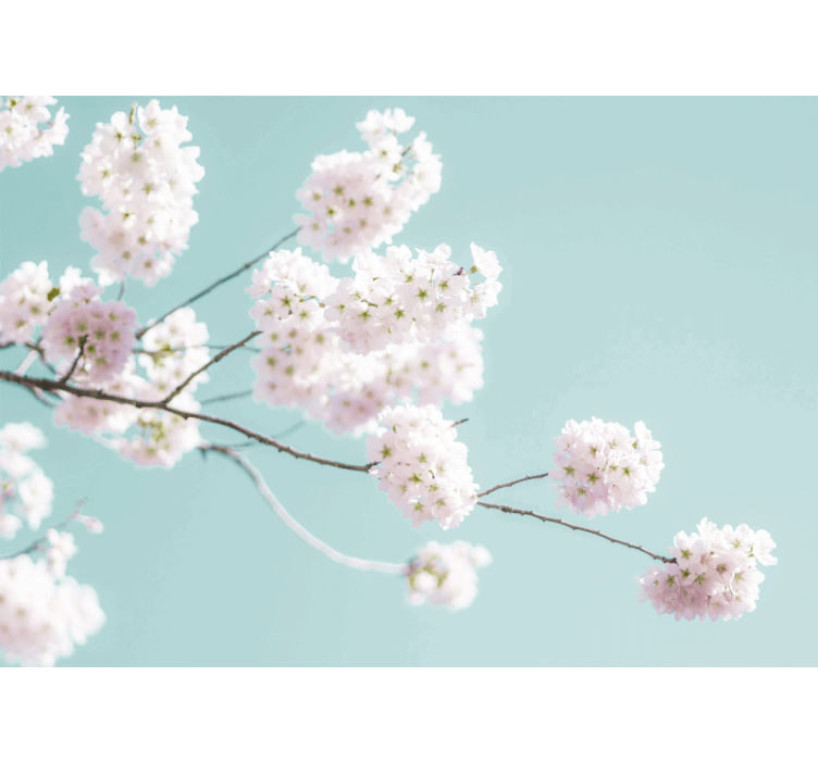 Blinds in a kitchen with elegant white flower design - TenStickers