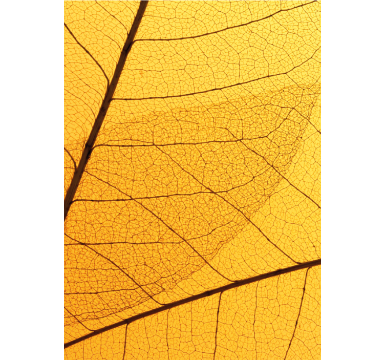 Yellow roller blind with botanical leaf design - TenStickers