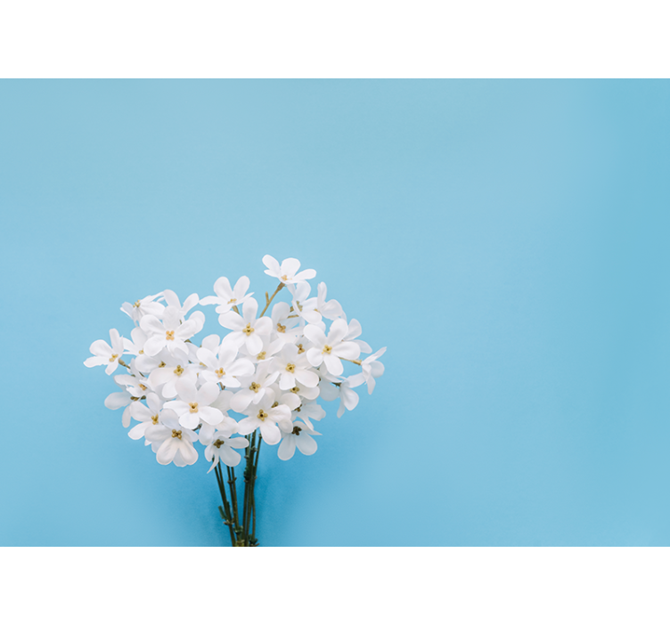 Blue blind jazmin blue background - TenStickers