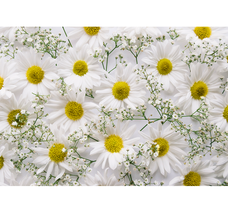 Daisy flower living room blind - TenStickers