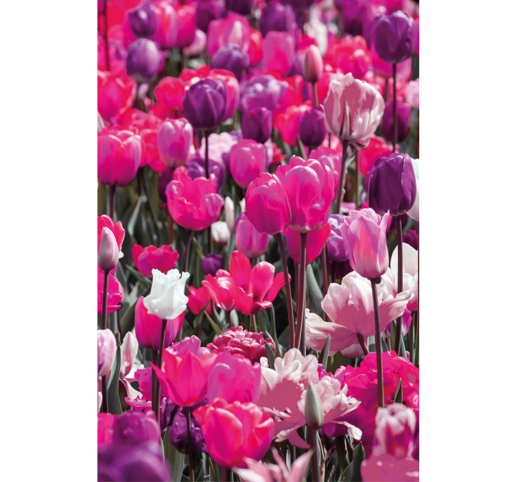 Purple tulip blooms blind flowers - TenStickers