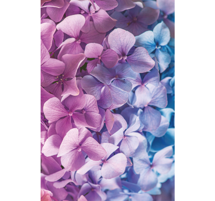 Hydrangea Petal Cluster blind flowers - TenStickers
