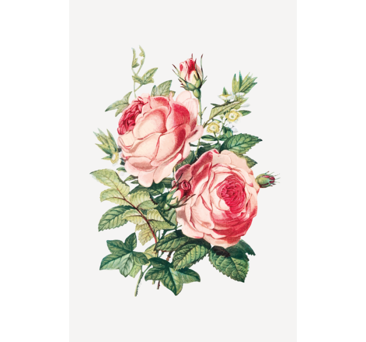 Romantic rose blooms blind flowers - TenStickers