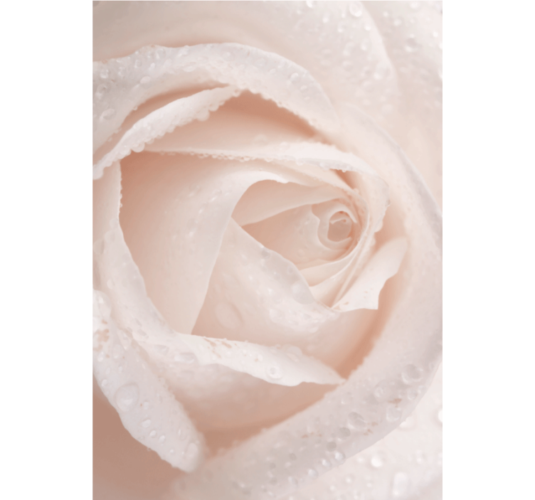 Delicate Rose Petal floral blind - TenStickers