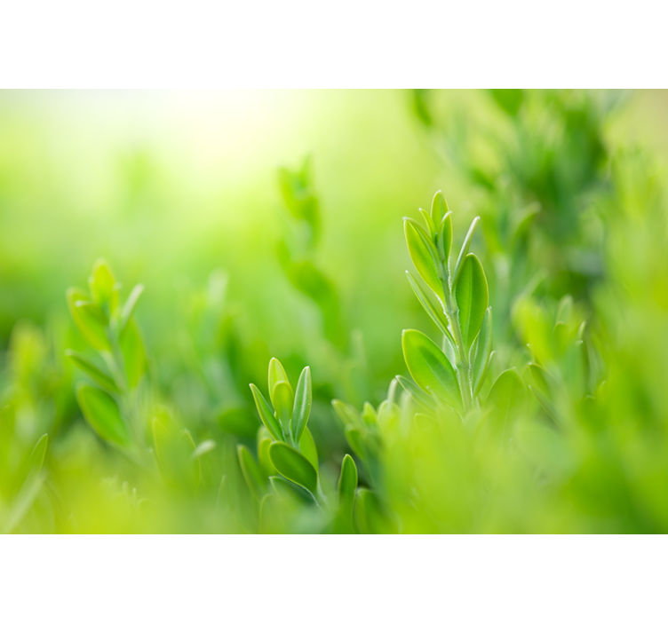 Lush greenery picture blind flowers - TenStickers