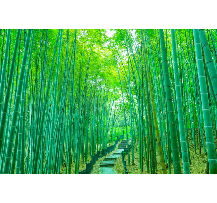 Lush Bamboo Path blind trees - TenStickers