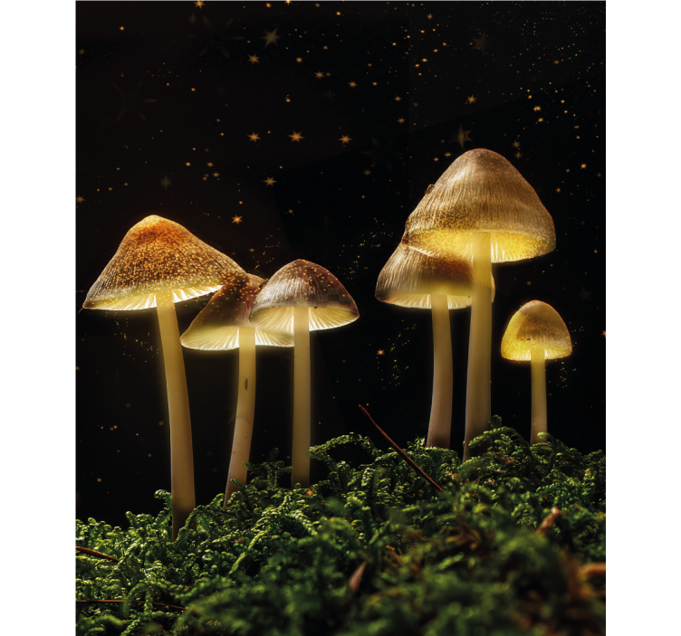 Glowing mushrooms in nature other blind - TenStickers