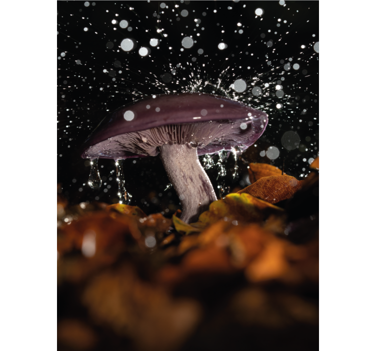 Mushroom with Splash other blind - TenStickers